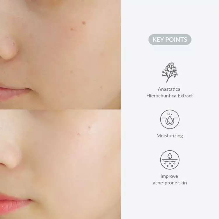Dr. Althea Last Minute Skin Rescue Anastatica Mask (531g)