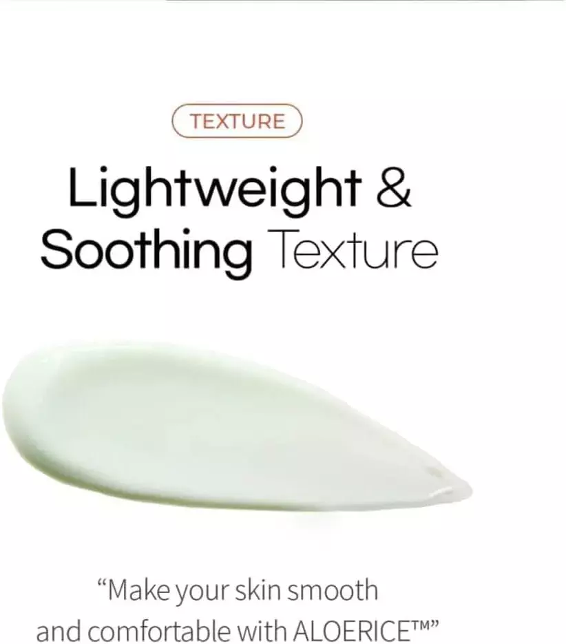 Be The Skin Sebum Zero Aloerice Vegan Sun Cream SPF 50 (50ml)