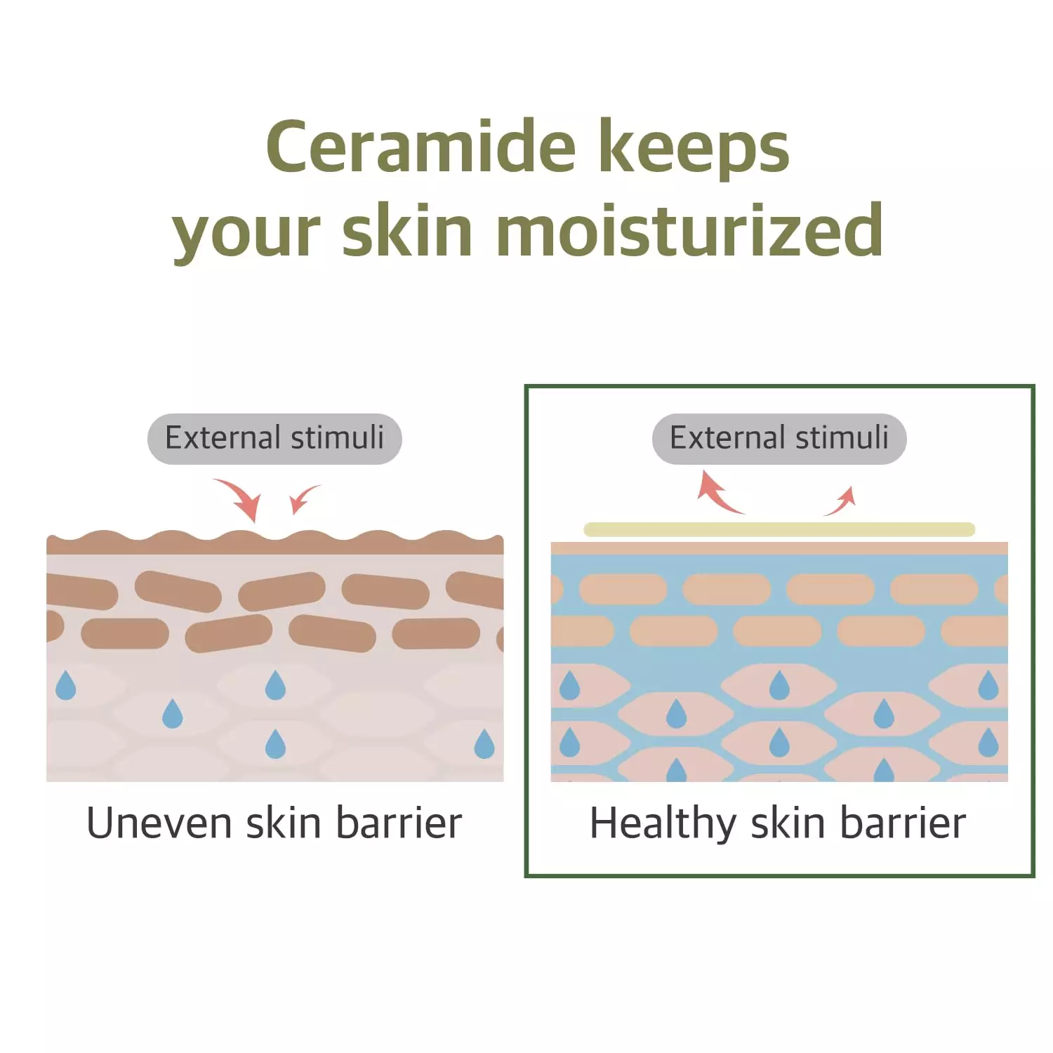 Round Lab Soybean Nourishing Cleanser (150ml)