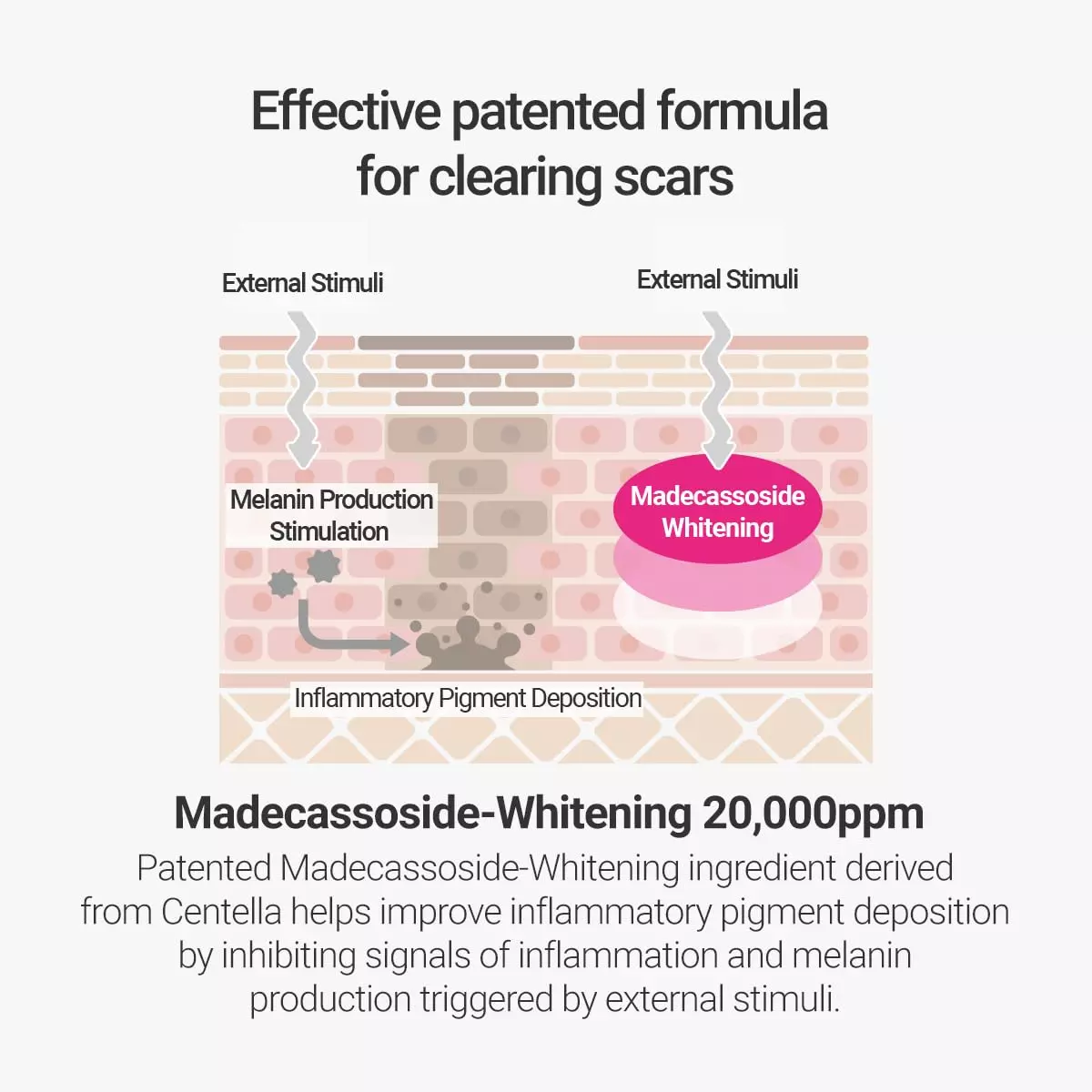 Rovectin Cica Care Clearing Ampoule (30ml)