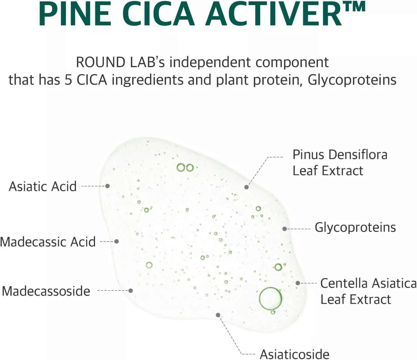 Round Lab Pine Calming Cica Pad (195ml)