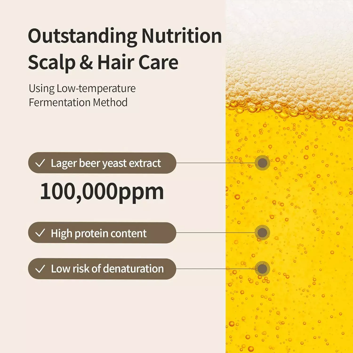 Benton Beer Yeast Shampoo (500ml)