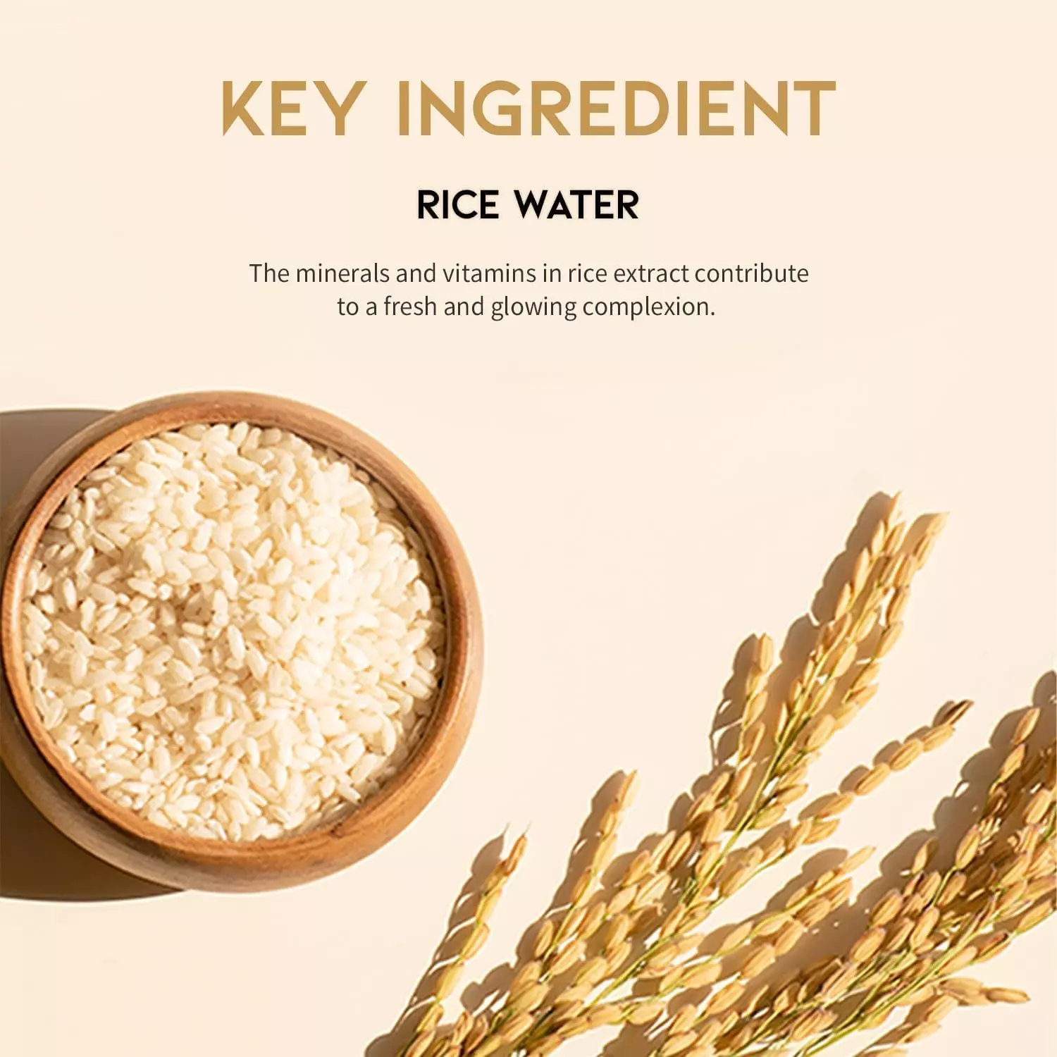 OOTD Glass Skin Rice Water Toner Pad (120ml)