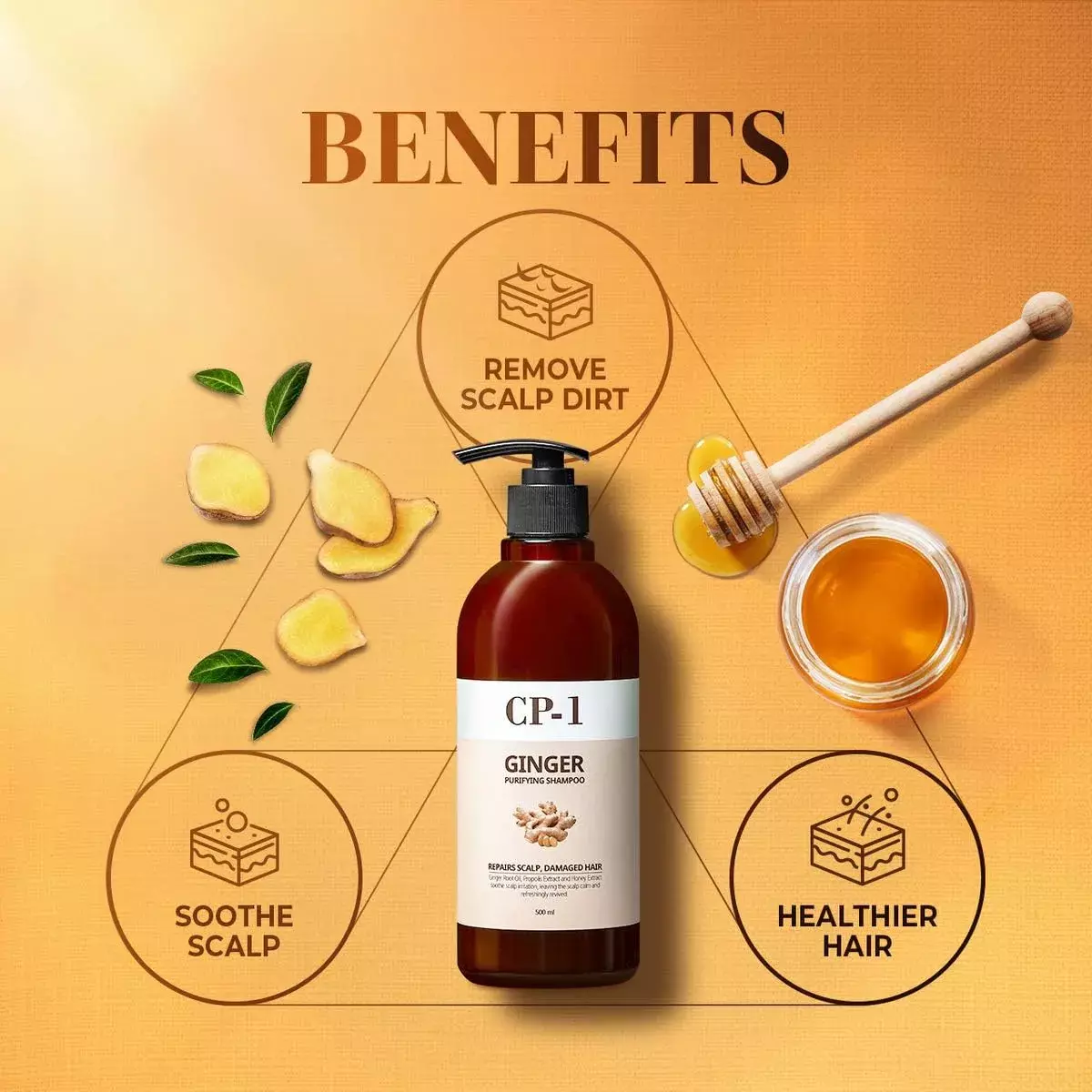 CP-1 Ginger Purifying Shampoo (500ml)