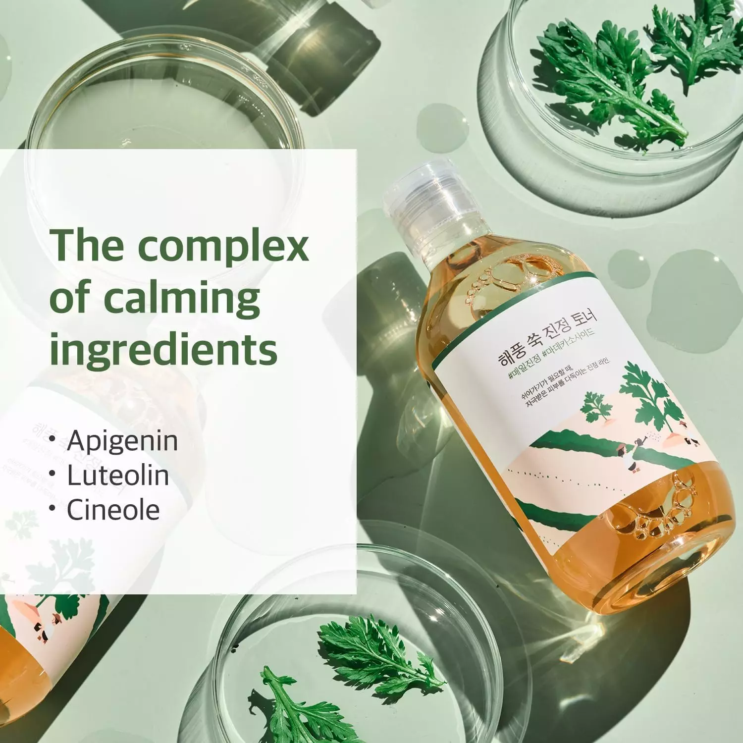 Round Lab Mugwort Calming Toner (300ml)