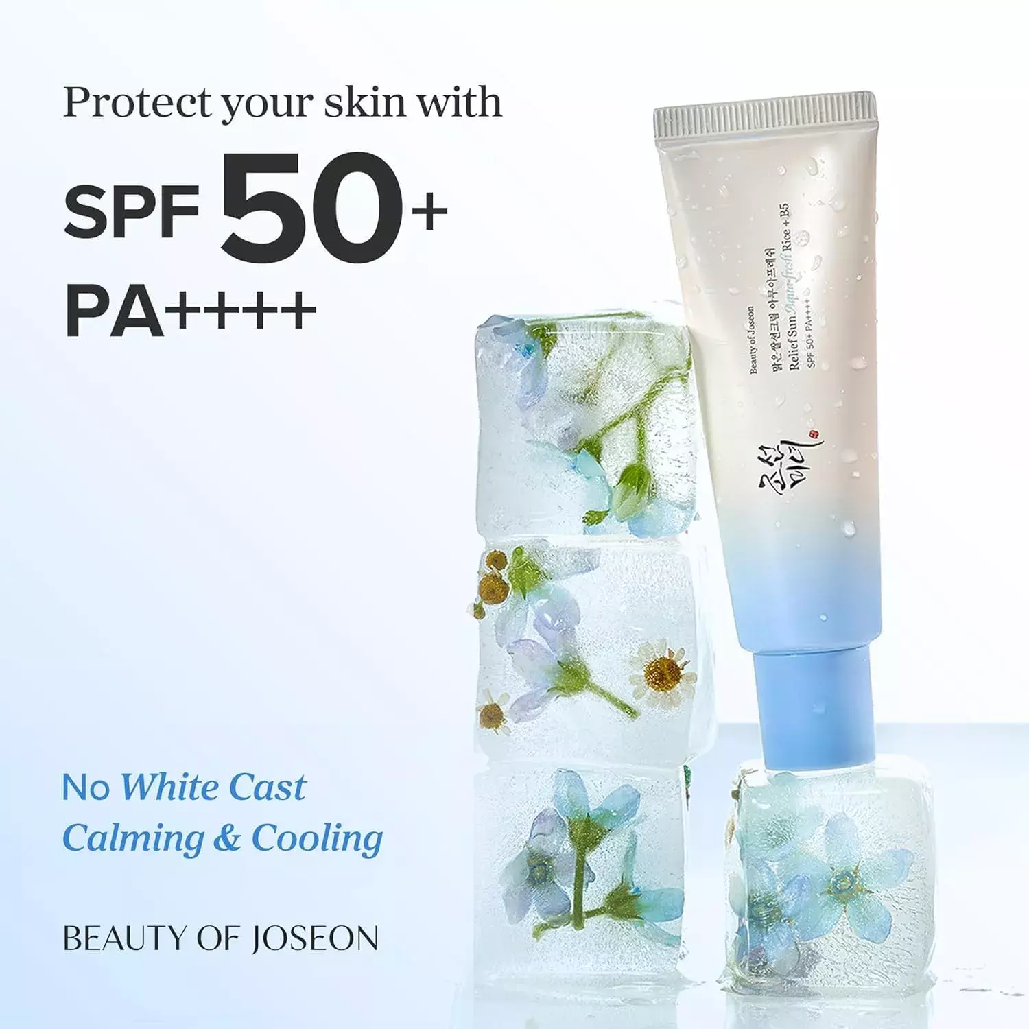 Beauty of Joseon Relief Sun Aqua Fresh Rice + B5 (50ml)