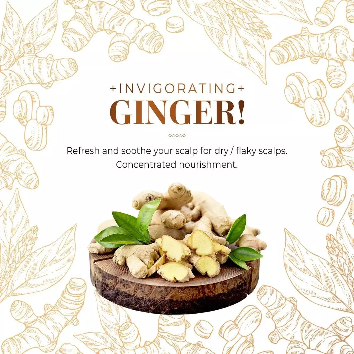 CP-1 Ginger Purifying Conditioner 500ML