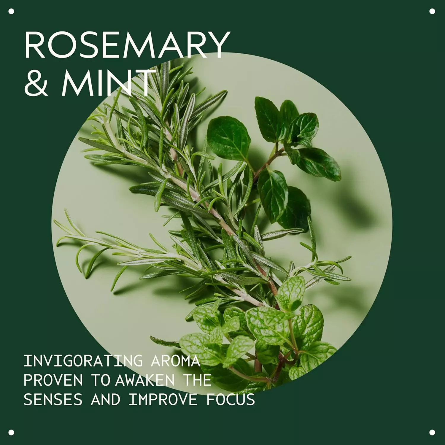 Aveda Rosemary Mint Weightless Conditioner (250ml)