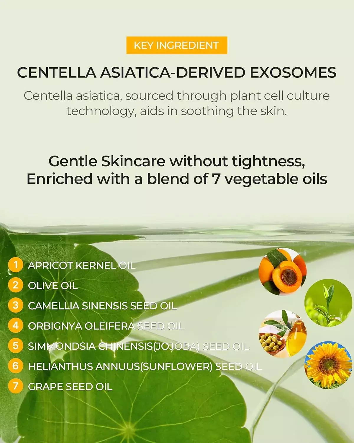 Be The Skin Pore Reset Glass Skin Cleansing Oil (150ml)
