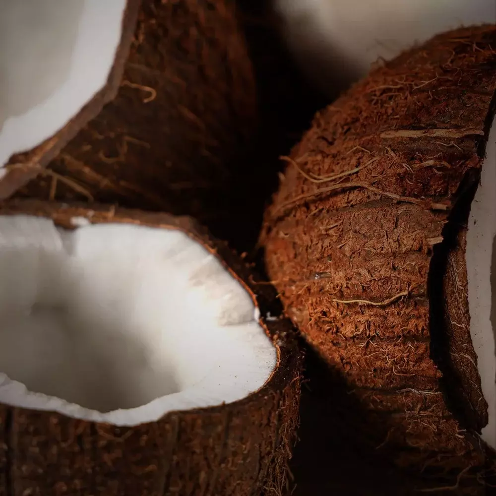 Beauty Creations Balm N' Cute - COCONUT (32g)