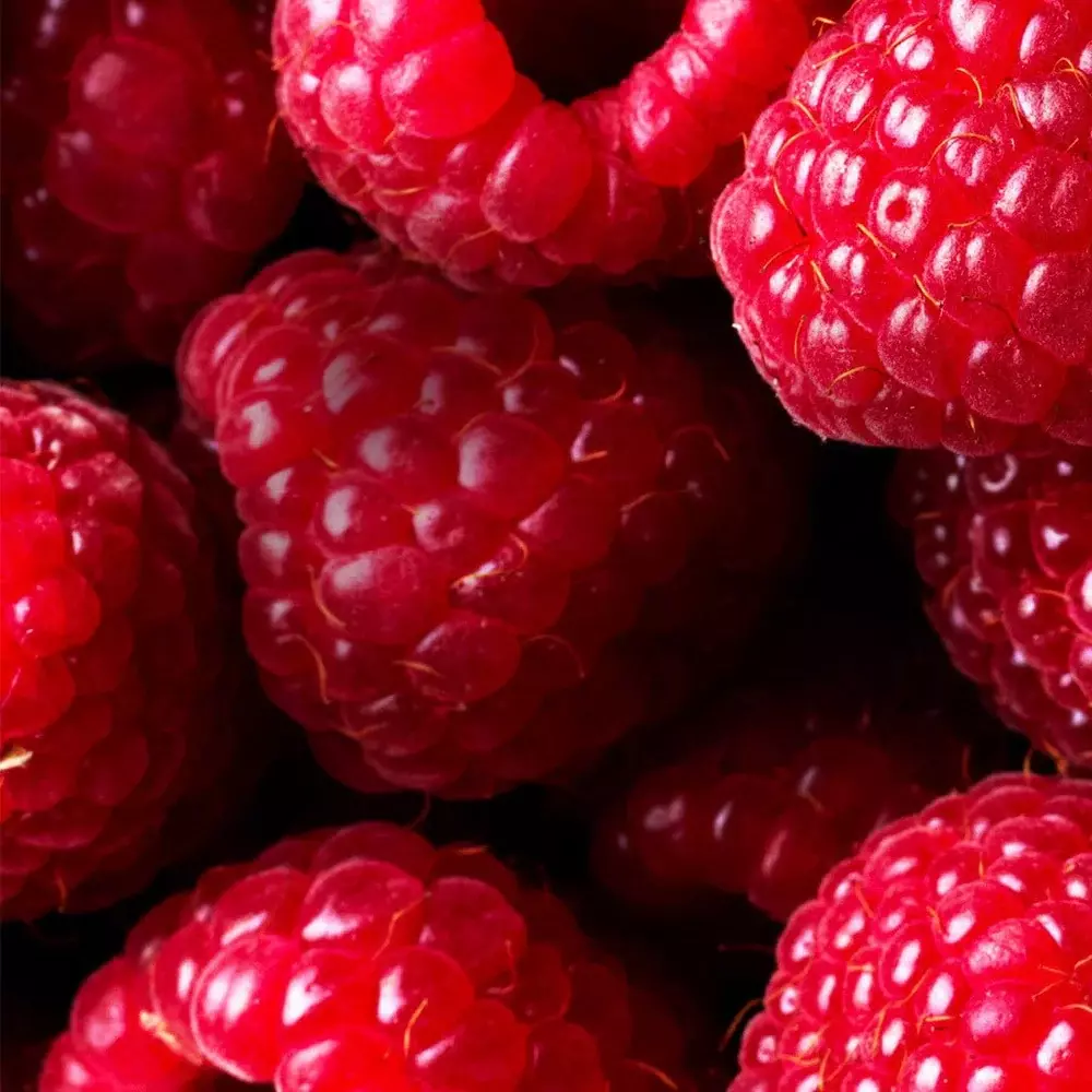 Beauty Creations Balm N' Cute - RASPBERRY (32g)