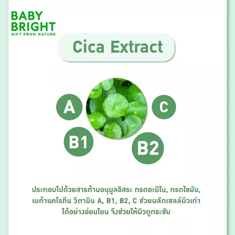 Baby Bright Cica Oil Control Filter Powder (50gm)