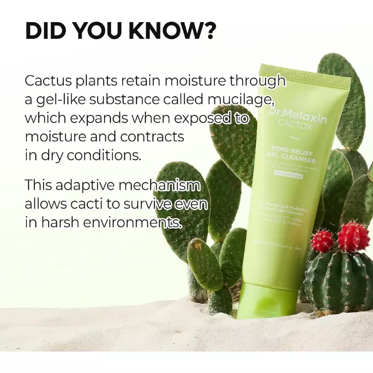 Dr.Melaxin Cactox Pore Relief Gel Cleanser (120ml)