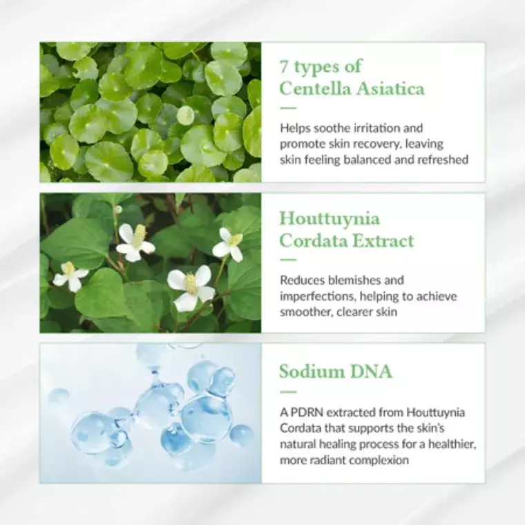 Dr. Althea Green Tea Fresh Sunscreen SPF50+ PA++++ (50ml)