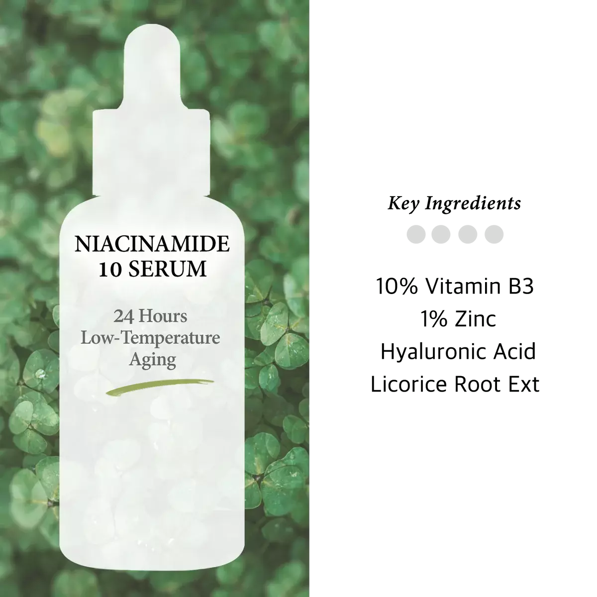 Cos De BAHA Niacinamide 10% + Zinc 1% Serum (60ml)