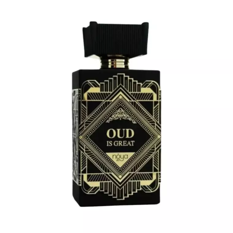 Noya Oud Is Great EDP Spray Feagrances For Unisex (100ml)