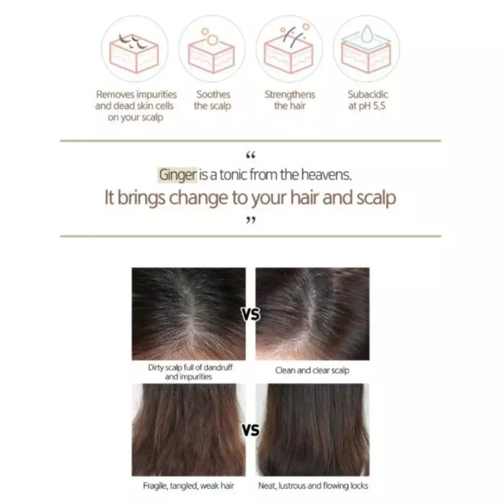 Hair Care Duo [ CP-1 Ginger Purifying Shampoo (100ml) + CP-1 Ginger Purifying Conditioner (100ml) ]